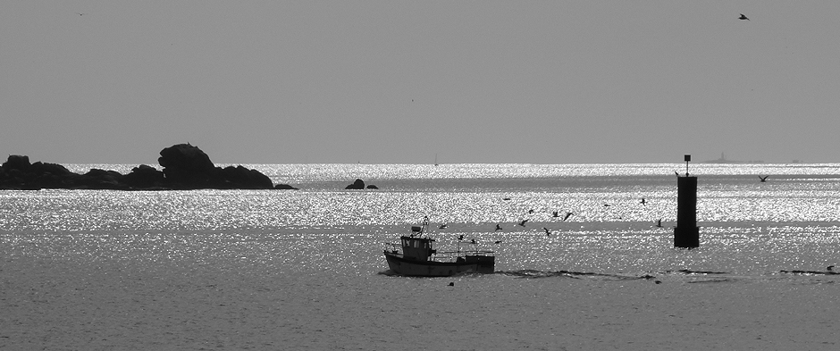 Psychologue Port de Vannes - Anne Vaugier